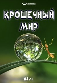 Крошечный мир